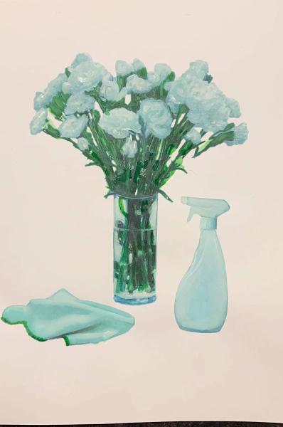 Carnations Cleaning Service