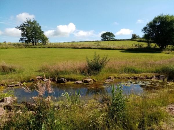 Preseli Landscapes