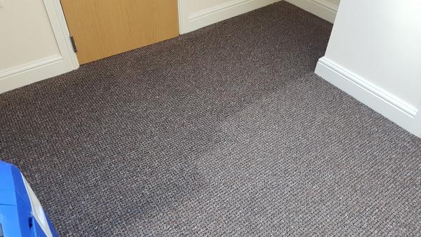 Alpine Carpet Cleaning