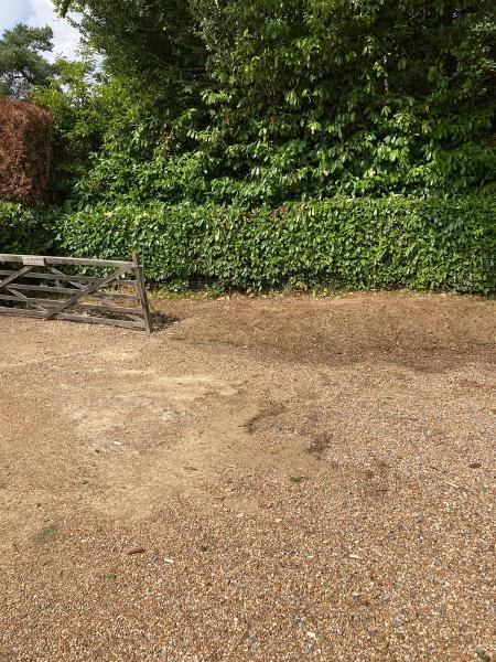 S Young Tree and Garden Care