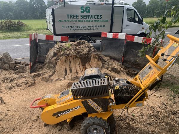 SG Tree Services