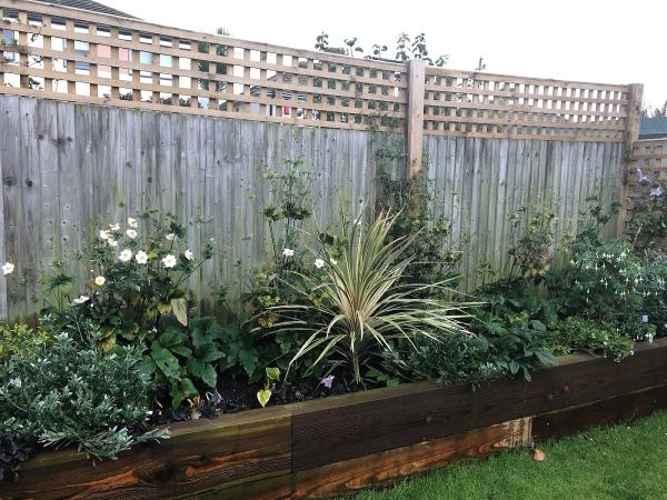 Avante Gardening and Design
