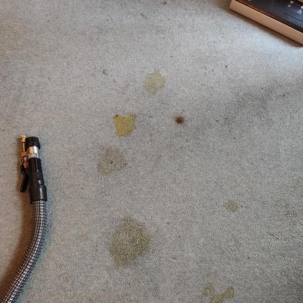 ATR Carpet Cleaning
