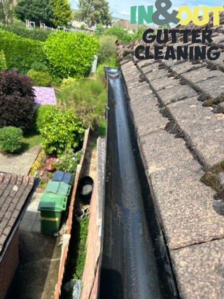 In & Out Gutter Cleaning