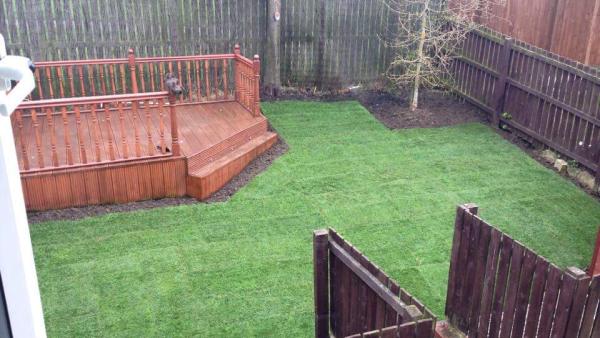 Lawn in Order