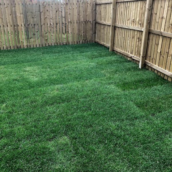 Lawn in Order