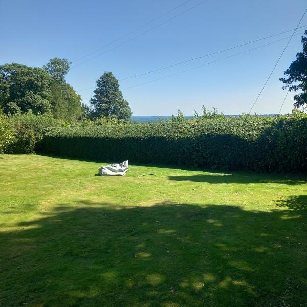 Branching Out Tree Work and Hedge Cutting