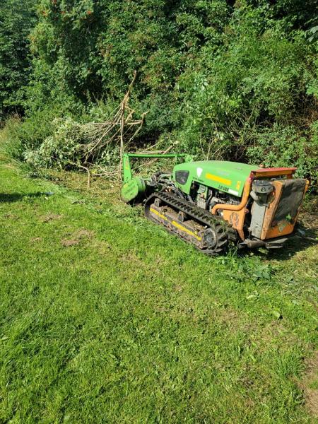 Sky High Tree Services & Ground Maintenance