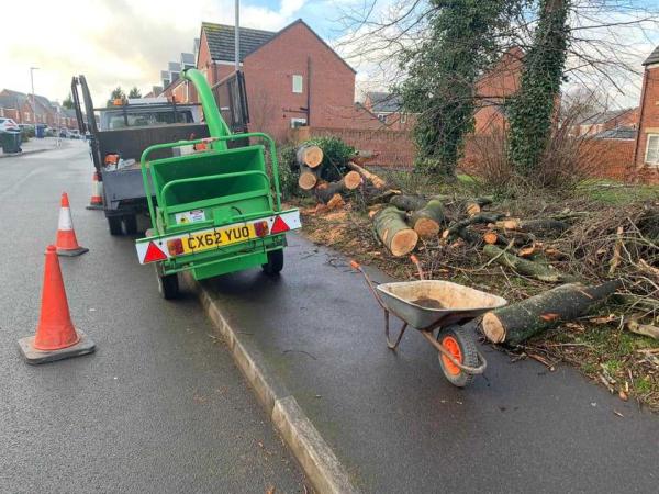 Northwich Tree Surgery Ltd