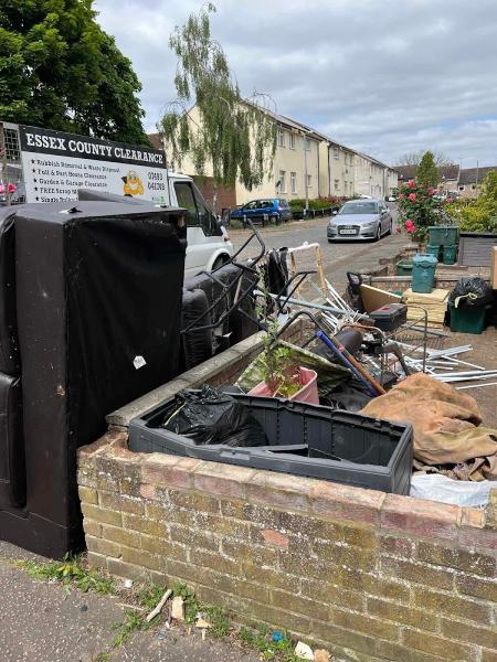 Essex Clear Up