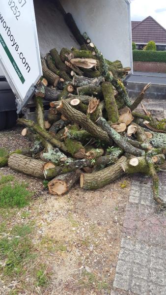 Mark Worboys Tree Surgery