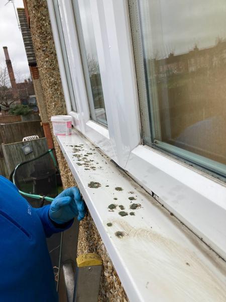 Always Gleaming Window Cleaning