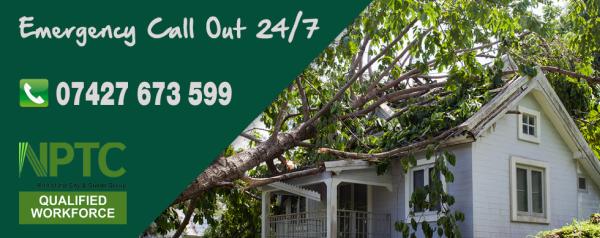 Majestic Tree Care Ltd