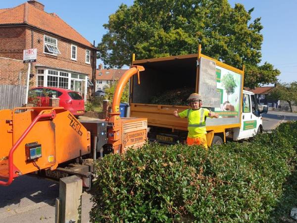 Majestic Tree Care Ltd