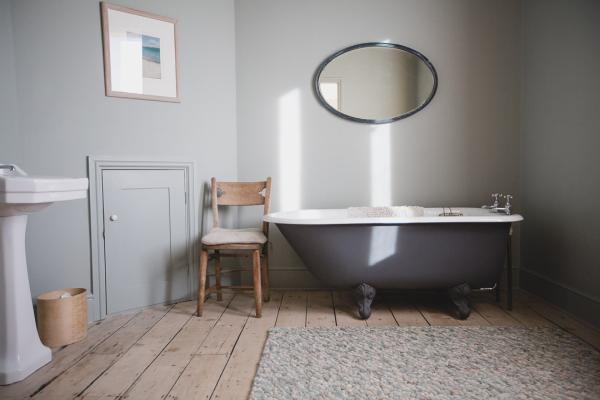 Wild Fern Professional Decorating