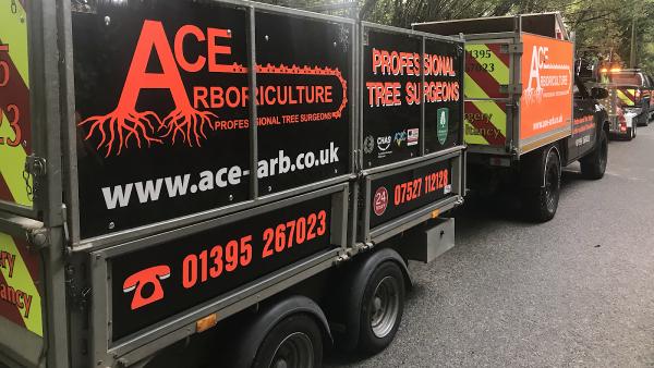 ACE Arboriculture Ltd