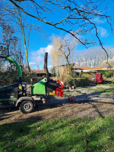 Willow Tree & Landscape