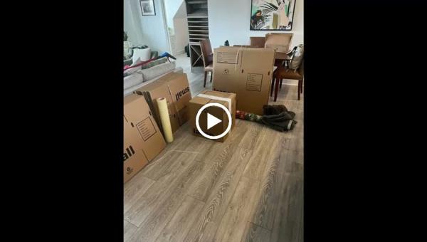 Simply Done Removals