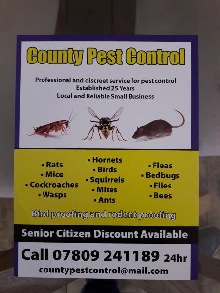 County Pest Control
