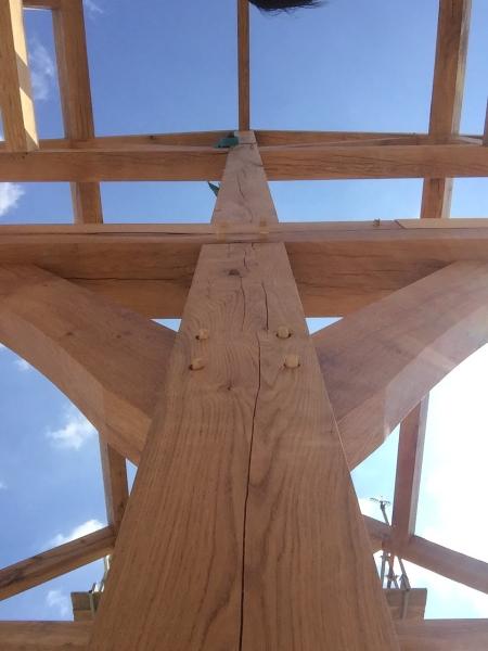 Erigo Passivhaus Ltd