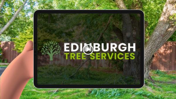 Edinburgh Tree Services