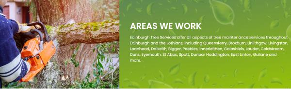 Edinburgh Tree Services