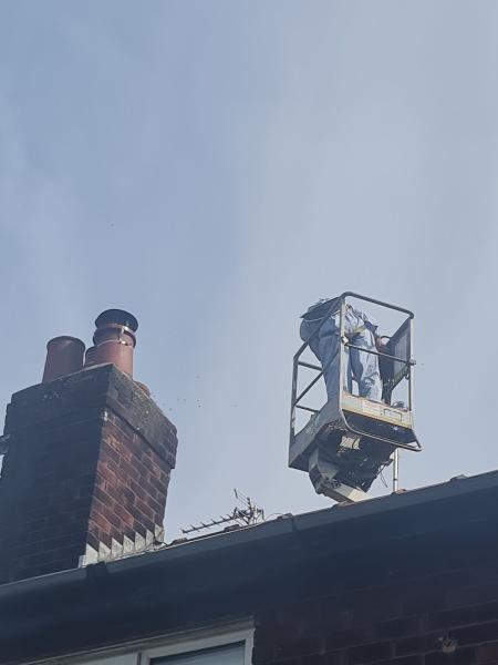 Pestguard Northwest Stoke Wasps