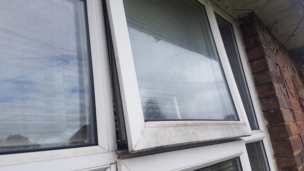 Clear View Windows