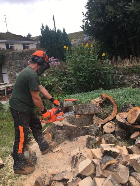 Dartington Gardening Services