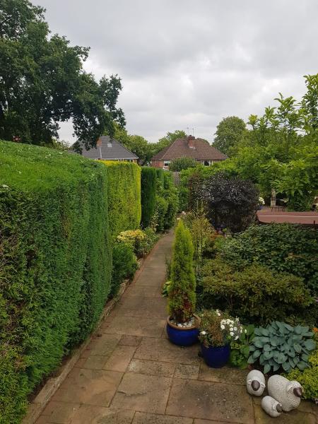 Meadowbank Tree Services Ltd