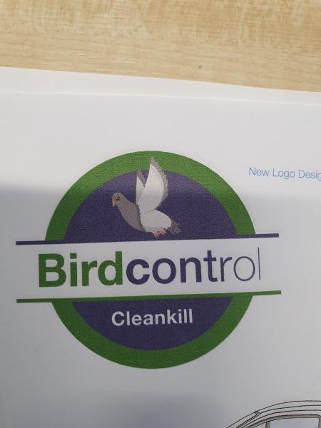 Bird Control Sussex