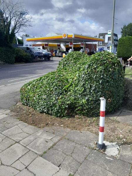 Rosewood Maintenance & Landscaping Ltd