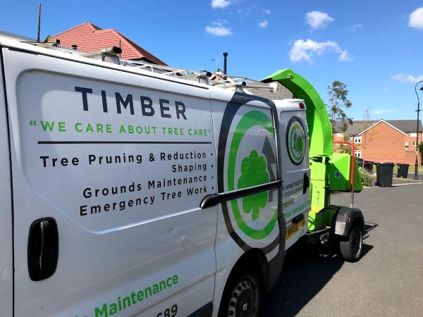 Timber Tree Services