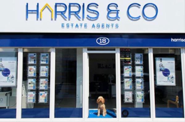 Harris & Co Estate Agent