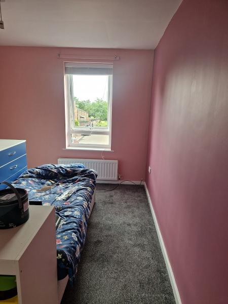 True Colours Painting & Decorating