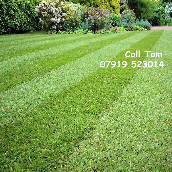 Chopper Toms Tree & Garden Services