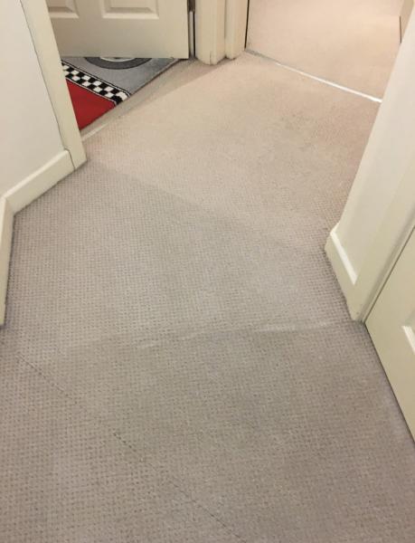 BMV Carpet and Upholstery Cleaning Services