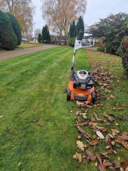 Nexgen Landscaping & Gardening Ltd