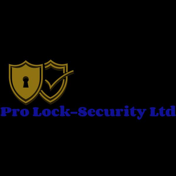 Pro Lock-Security