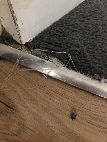 Carpets and Flooring by JPG