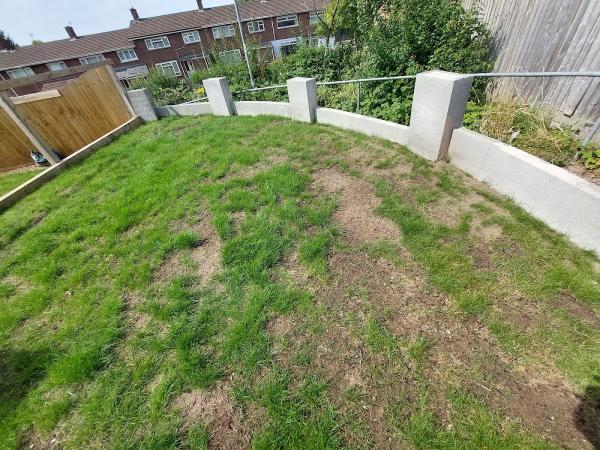 Lawn & Weed Expert