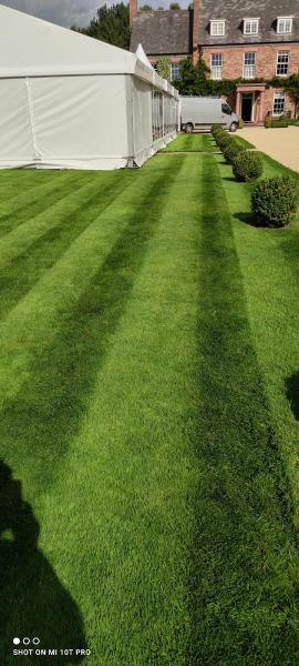 Verge's Lawns