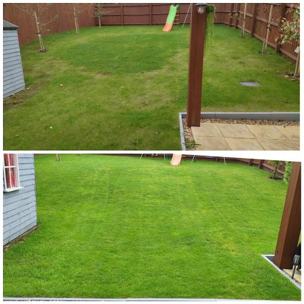 Verge's Lawns