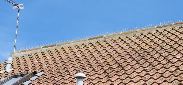 AHL Roofing & Property Maintenance Ltd