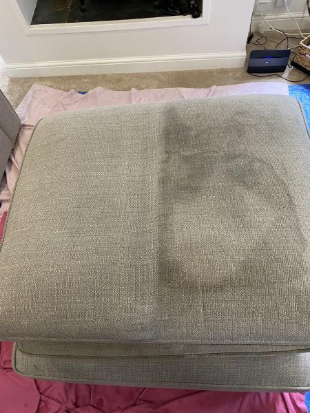 Absorb Carpet Cleaning