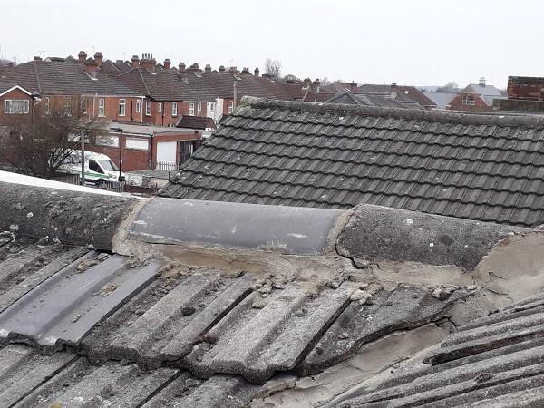 The Roof Doctor