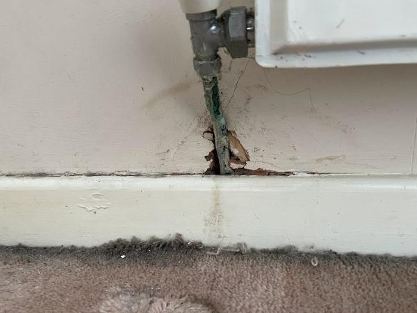 J B Taylor Painter and Decorator