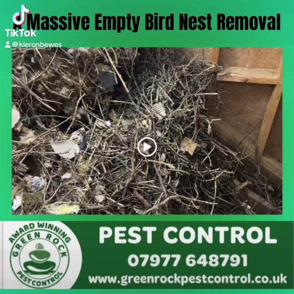 Green Rock Pest Control