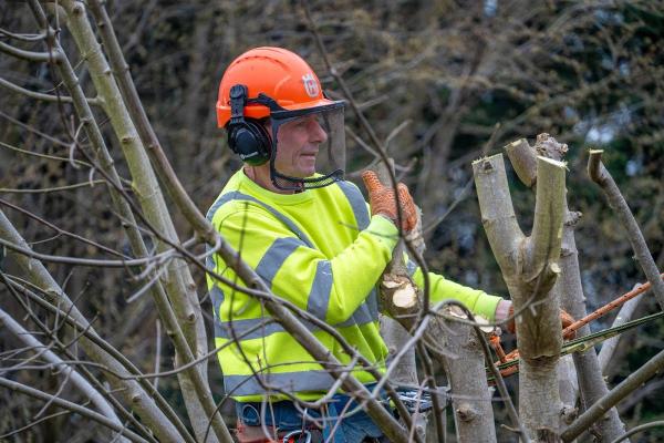 South Midland Tree Services Ltd