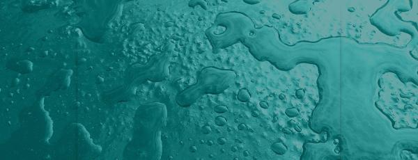 Proteus Waterproofing